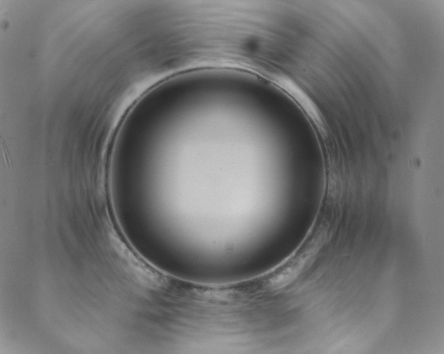 X0000089731004200706211429
