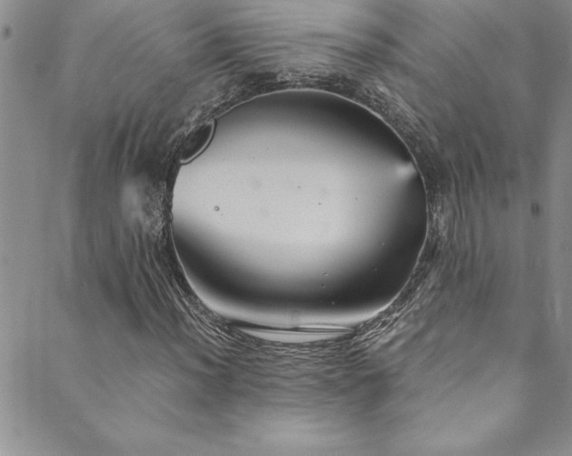 X0000089731012200706211428