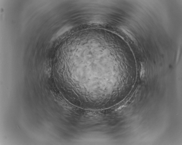 X0000089731015200706211428