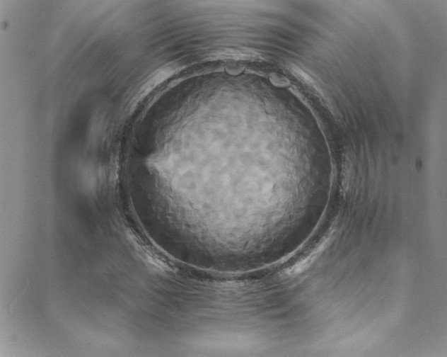 X0000089731017200706211428
