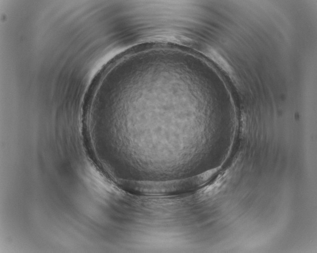 X0000089731020200706211428