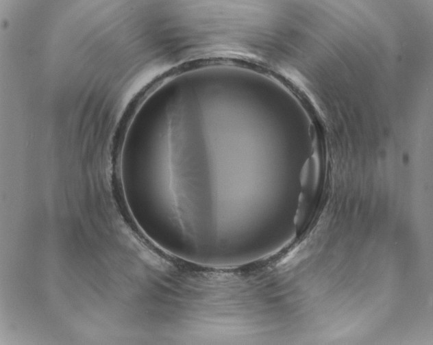 X0000089731024200706211428