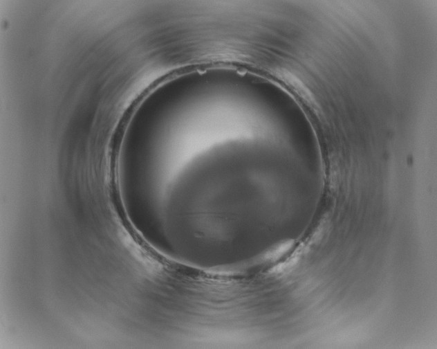 X0000089731031200706211428