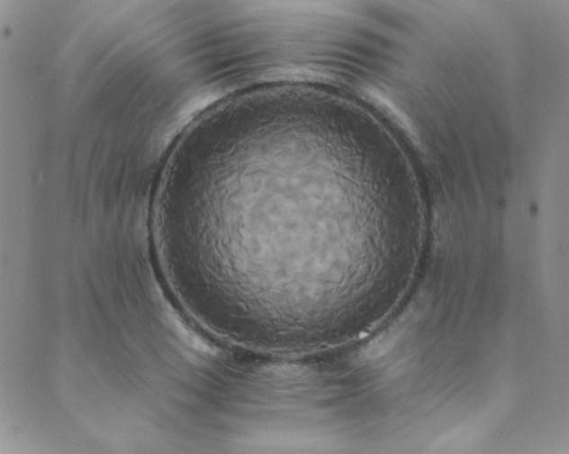 X0000089731033200706211428