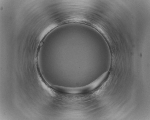 X0000089731042200706211429