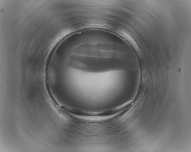 X0000089731043200706211429