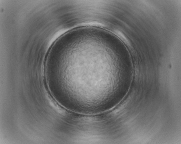 X0000089731044200706211429