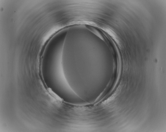 X0000089731046200706211429