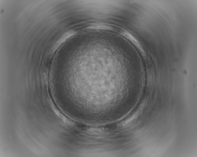 X0000089731049200706211429