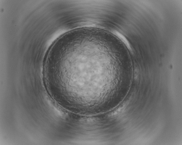 X0000089731051200706211429