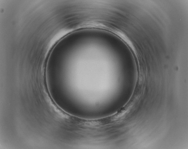 X0000089731053200706211429