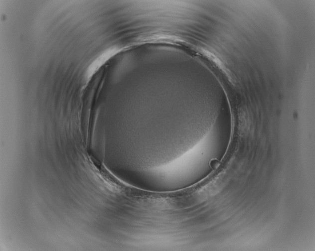 X0000089731066200706211428