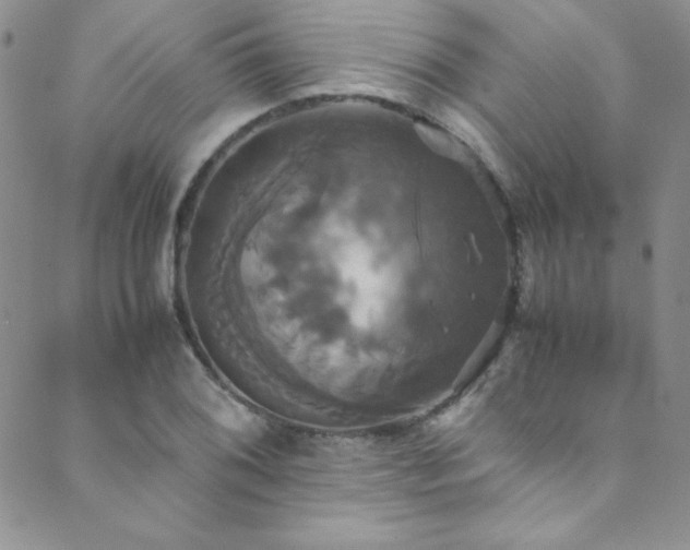X0000089731076200706211428