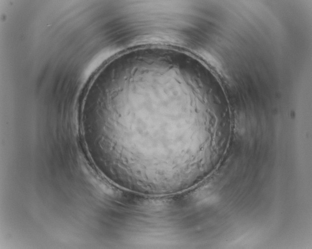 X0000089731078200706211428