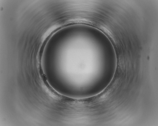 X0000089731082200706211428