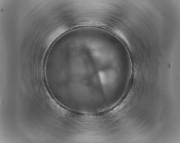 X0000089731087200706211427