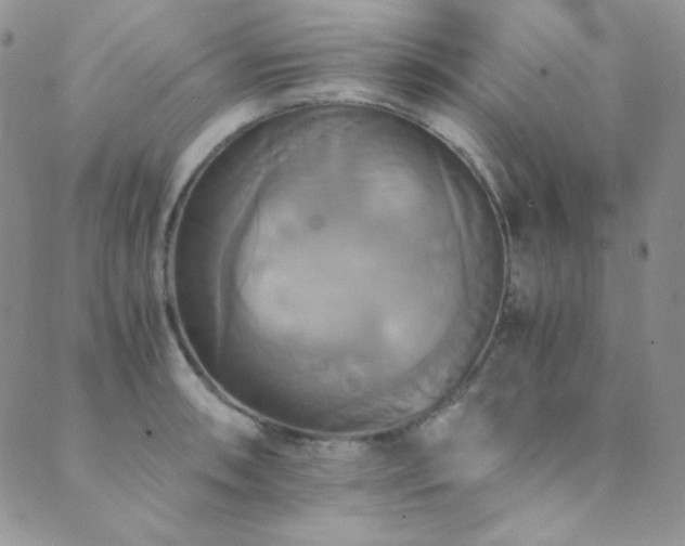 X0000089731090200706211427