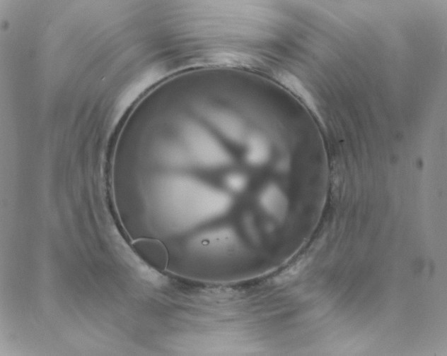 X0000089731091200706211427