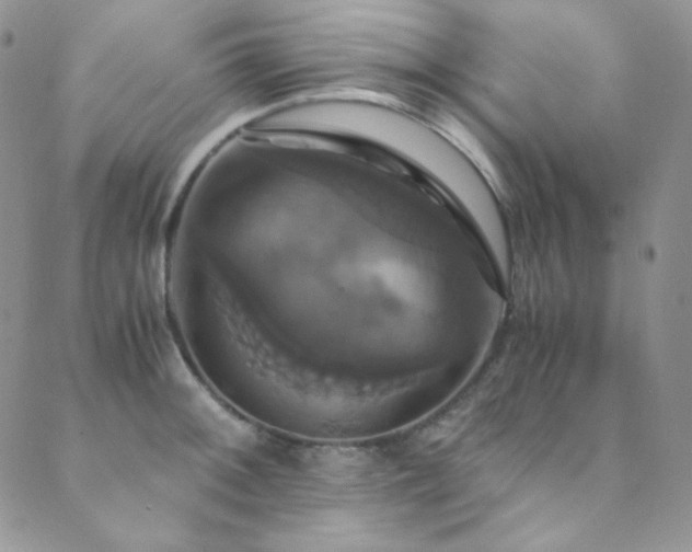 X0000089731092200706211427