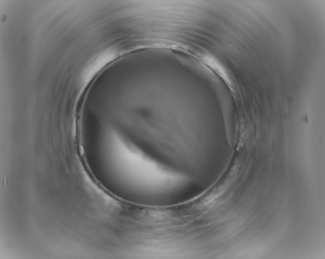 X0000089731095200706211427
