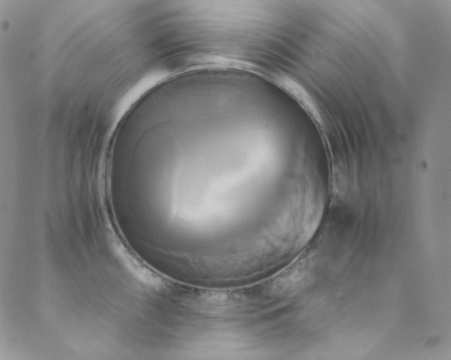 X0000089731098200706211427