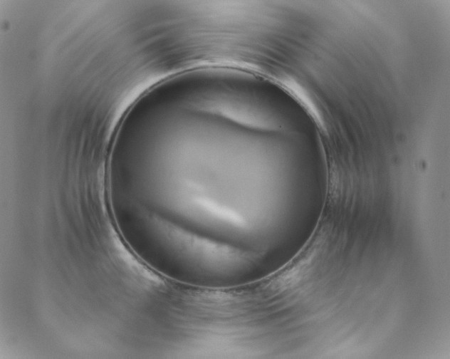X0000089731100200706211427