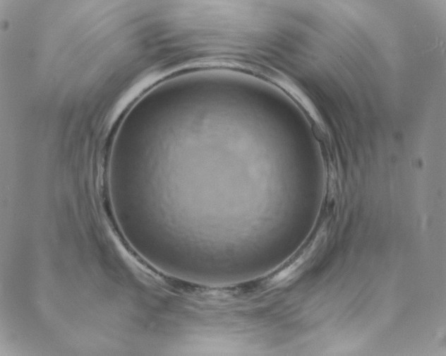 X0000089731101200706211427