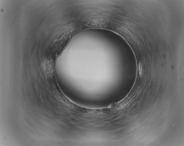 X0000089731107200706211426
