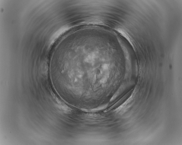 X0000089731115200706211427