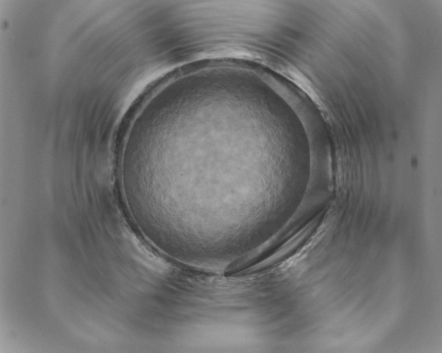 X0000089731116200706211427