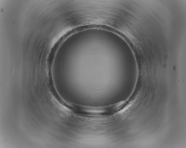 X0000089731118200706211427