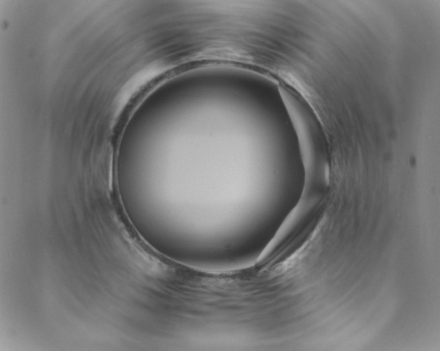 X0000089731123200706211427