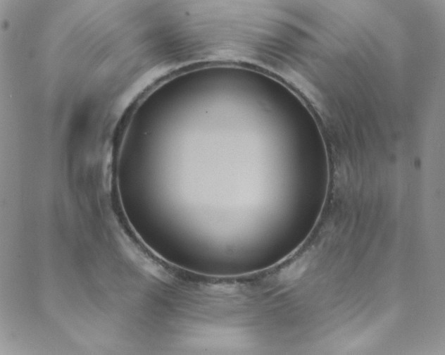 X0000089731126200706211427