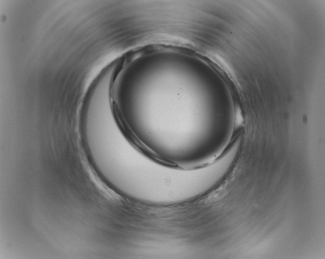 X0000089731128200706211427