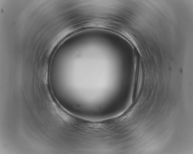 X0000089731131200706211427