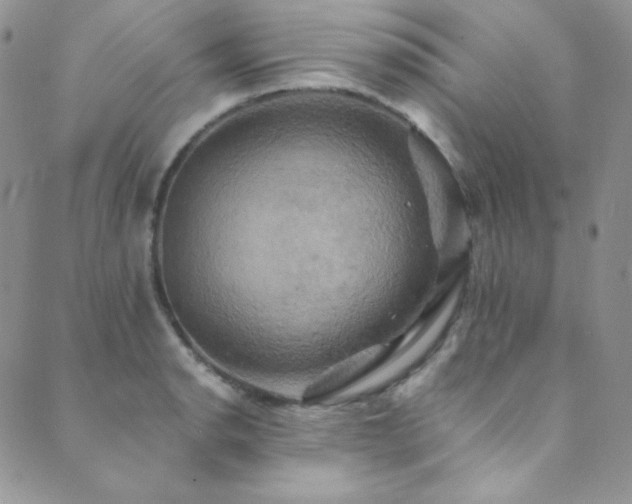 X0000089731134200706211427