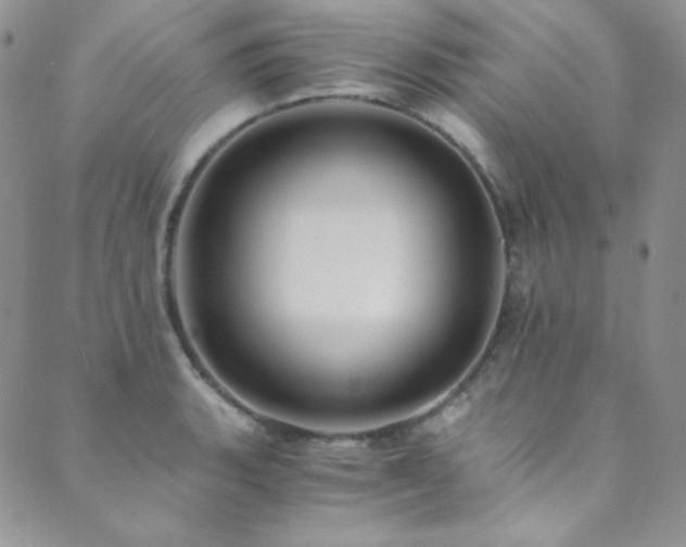X0000089731135200706211427