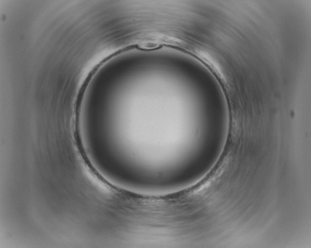 X0000089731136200706211427