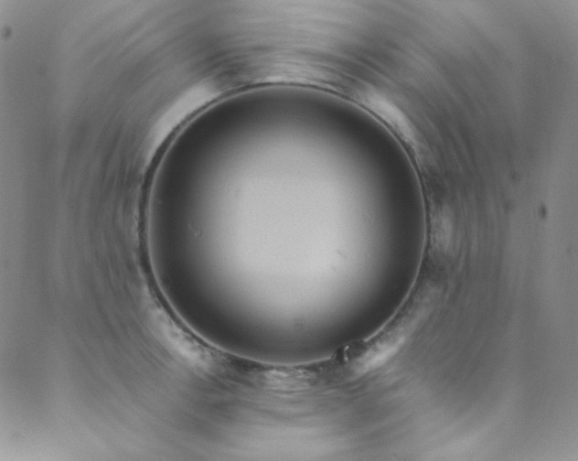 X0000089731138200706211427