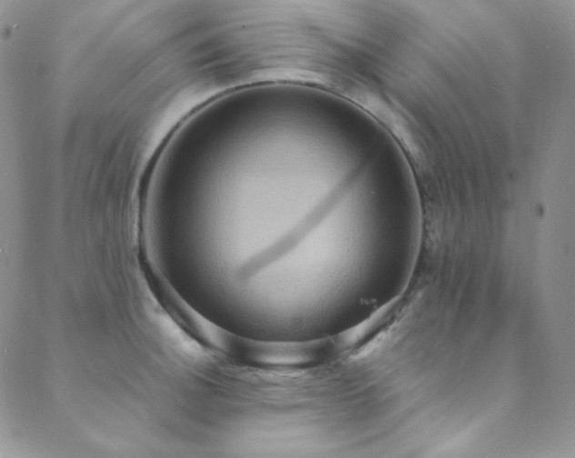 X0000089731140200706211427