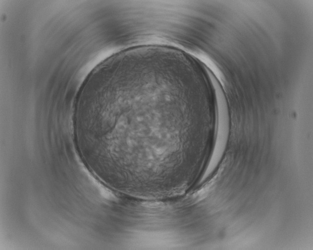 X0000089731142200706211427