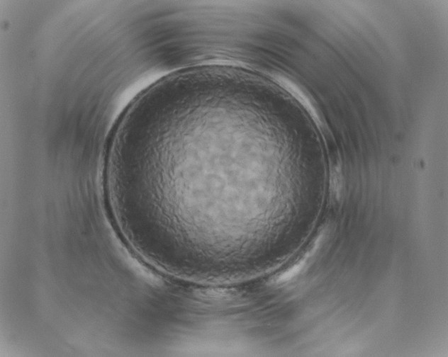 X0000089731149200706211427