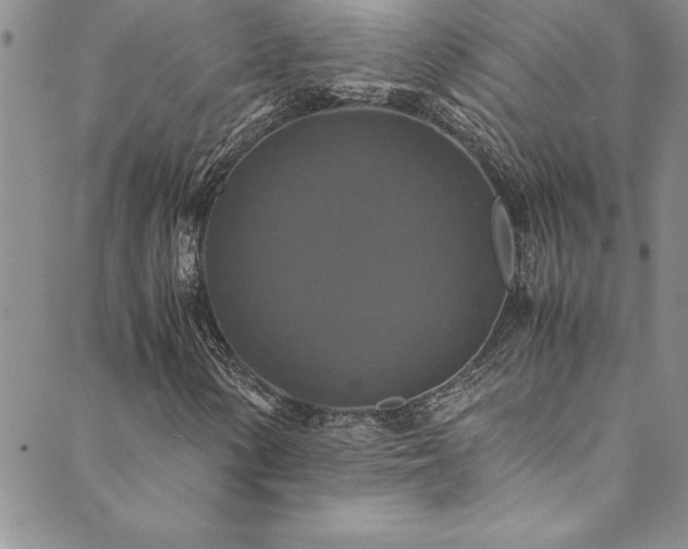 X0000089731154200706211426