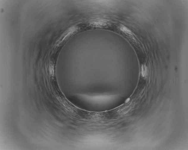 X0000089731155200706211426
