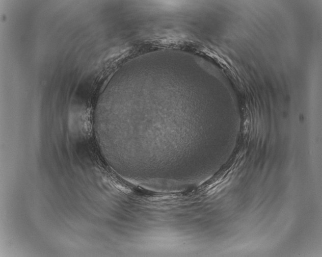 X0000089731156200706211426