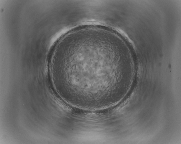 X0000089731167200706211426