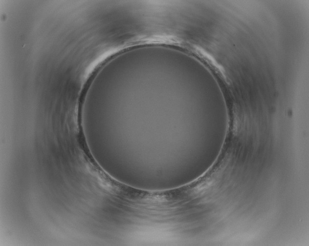 X0000089731174200706211426