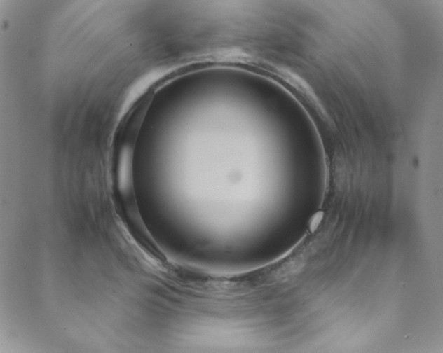 X0000089731176200706211426