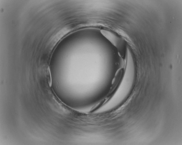 X0000089731177200706211426
