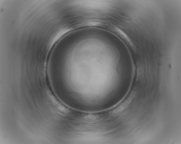 X0000089731178200706211426